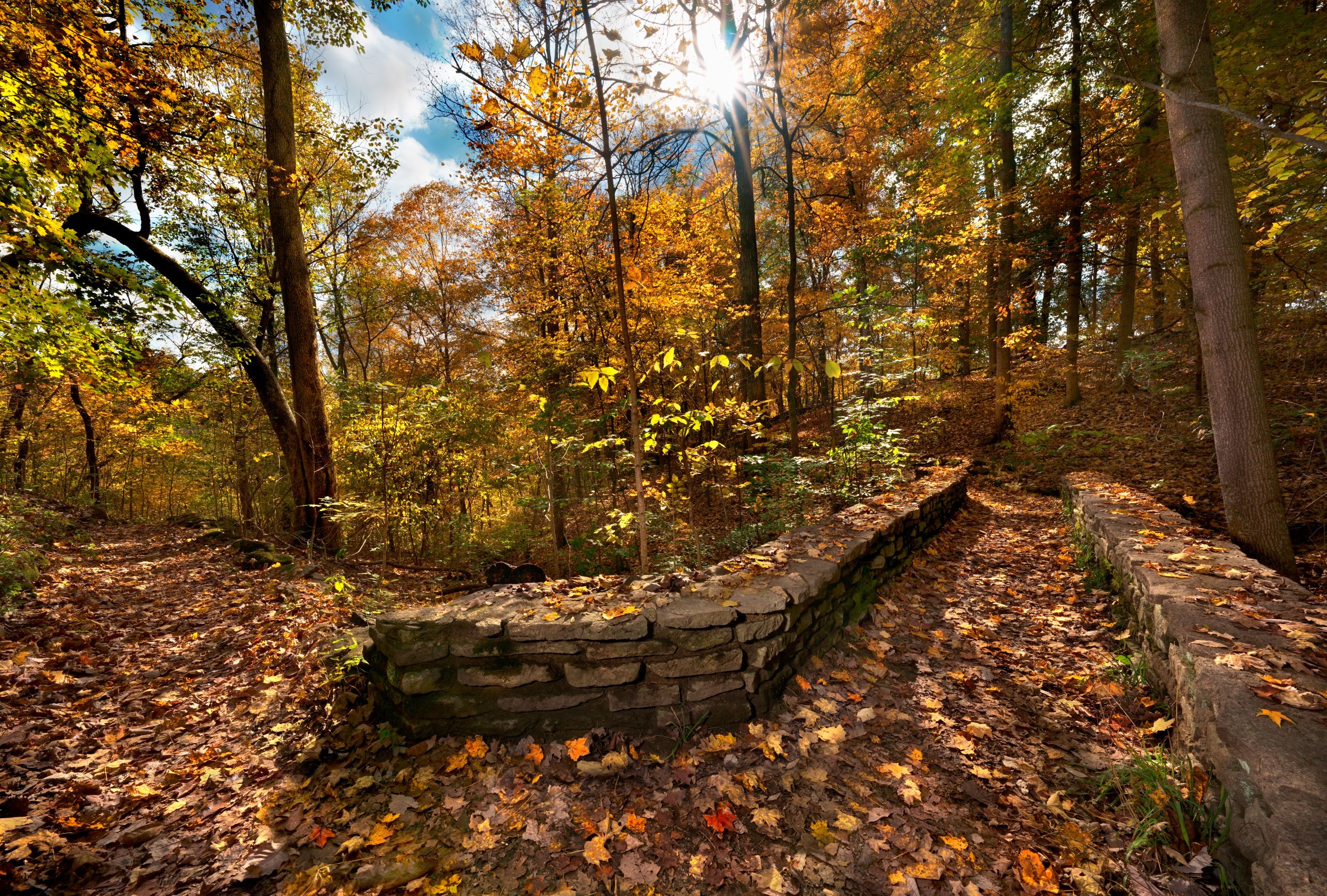 A stone wall along a trail in fall